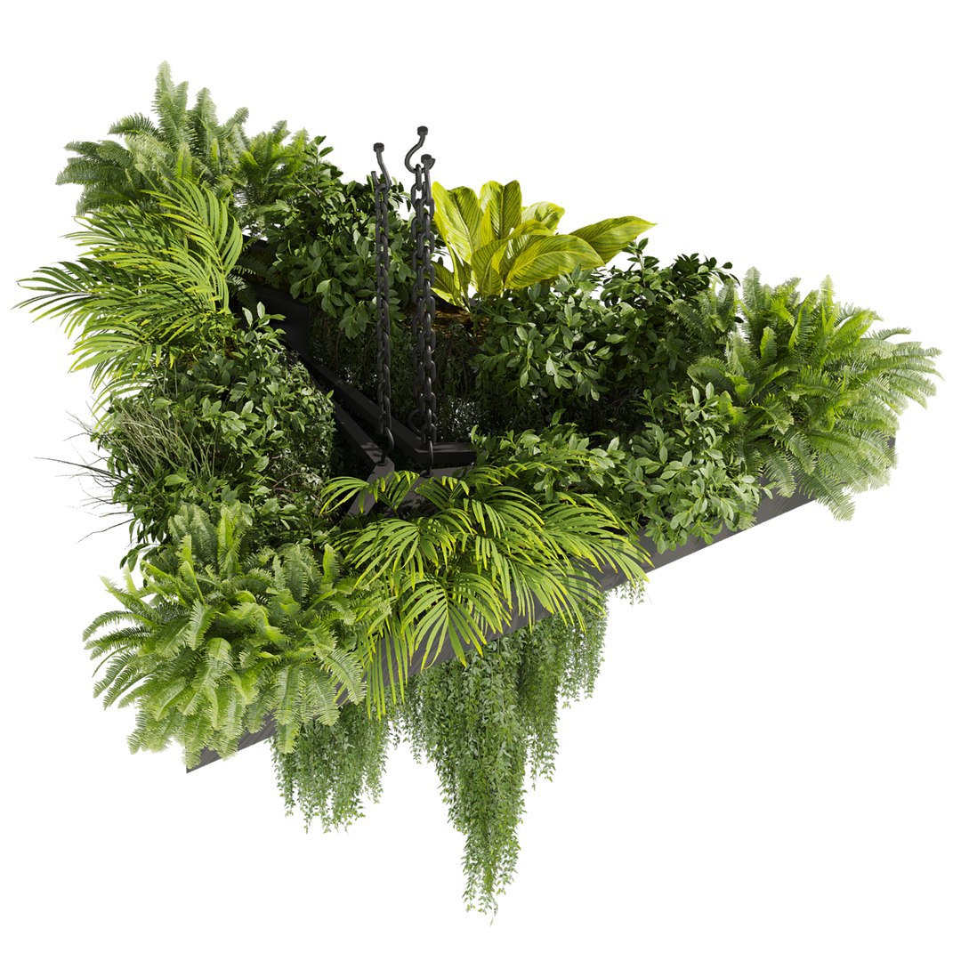 3D plant vol 876 - ampelous - hanging - fern https://p.turbosquid.com/ts-thumb/Ih/gVrSkz/ZA/2/jpg/1771761929/1920x1080/fit_q87/ca27a7f45b822c0b2c42387774e4e5830902b0f3/2.jpg