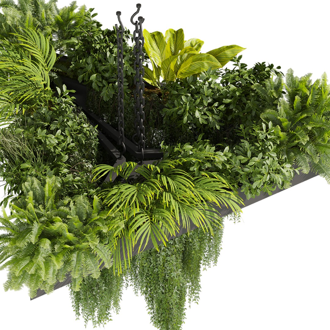 3D plant vol 876 - ampelous - hanging - fern https://p.turbosquid.com/ts-thumb/Ih/gVrSkz/z2/5/jpg/1771761931/1920x1080/fit_q87/6fd57e0cd7e8401a5f9f8efd0a837e22539a57d9/5.jpg