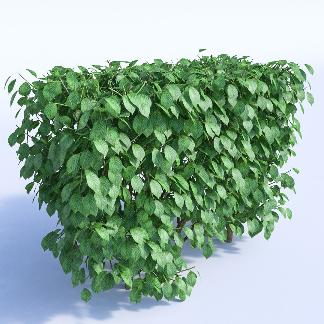 Set Bushes 1 3d Model