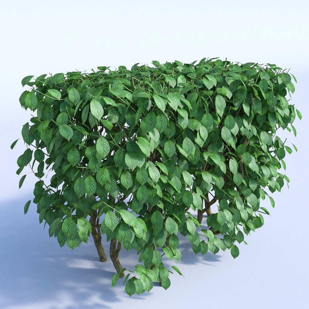 Set Bushes 1 3d Model