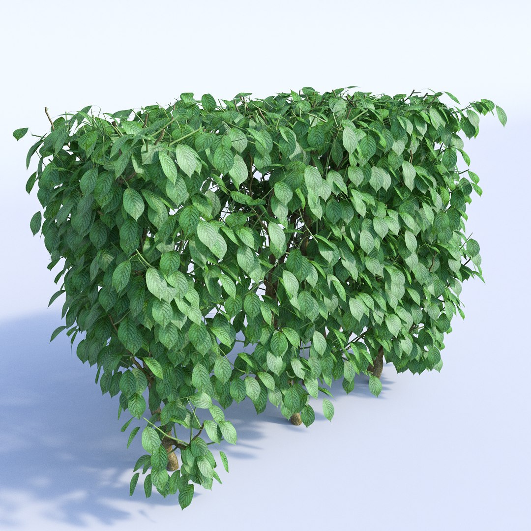 Set Bushes 1 3d Model