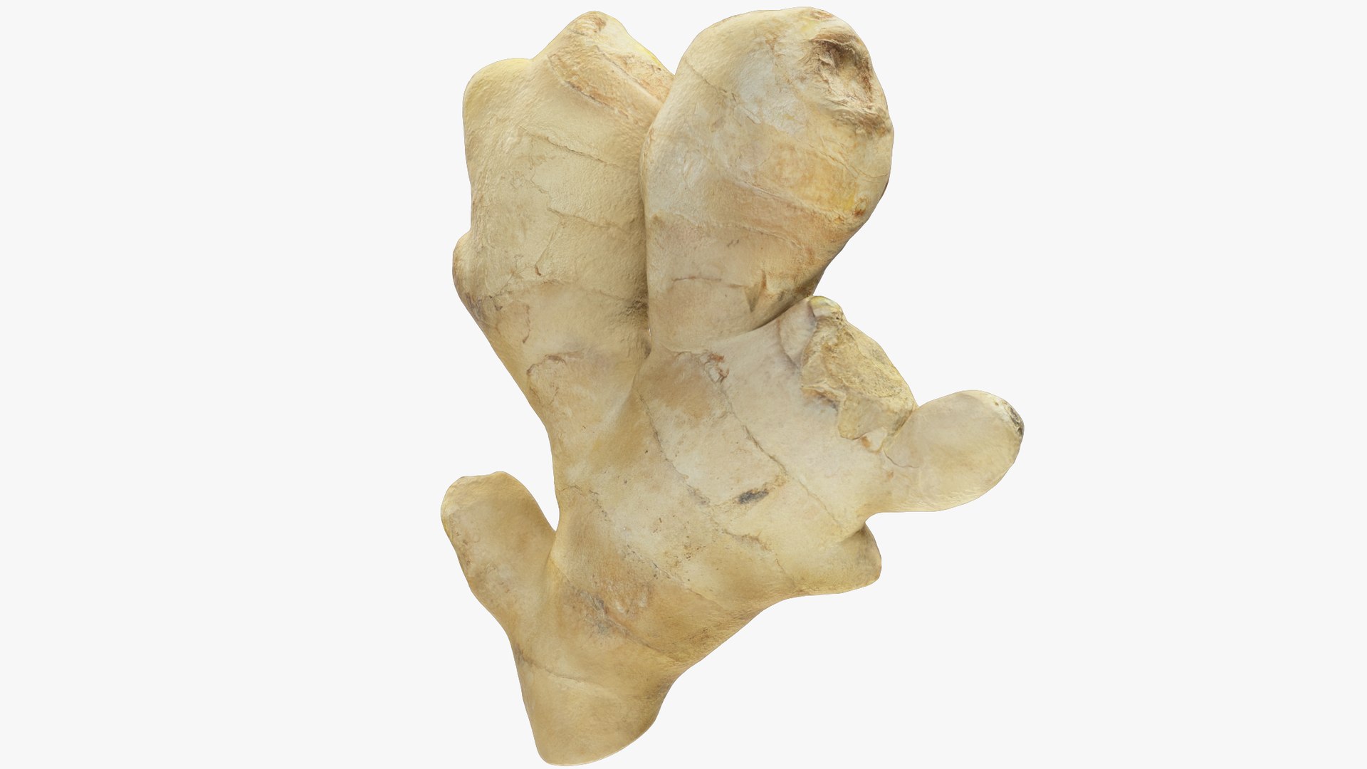 Ginger Collection V3 model https://p.turbosquid.com/ts-thumb/Ih/r24xYb/9y/g2_004_001/png/1708224565/1920x1080/fit_q87/69dd29675c7a7390fda860793311e1f865a9a0f4/g2_004_001.jpg