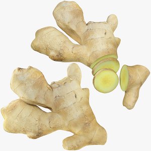 Ginger Collection V3 model