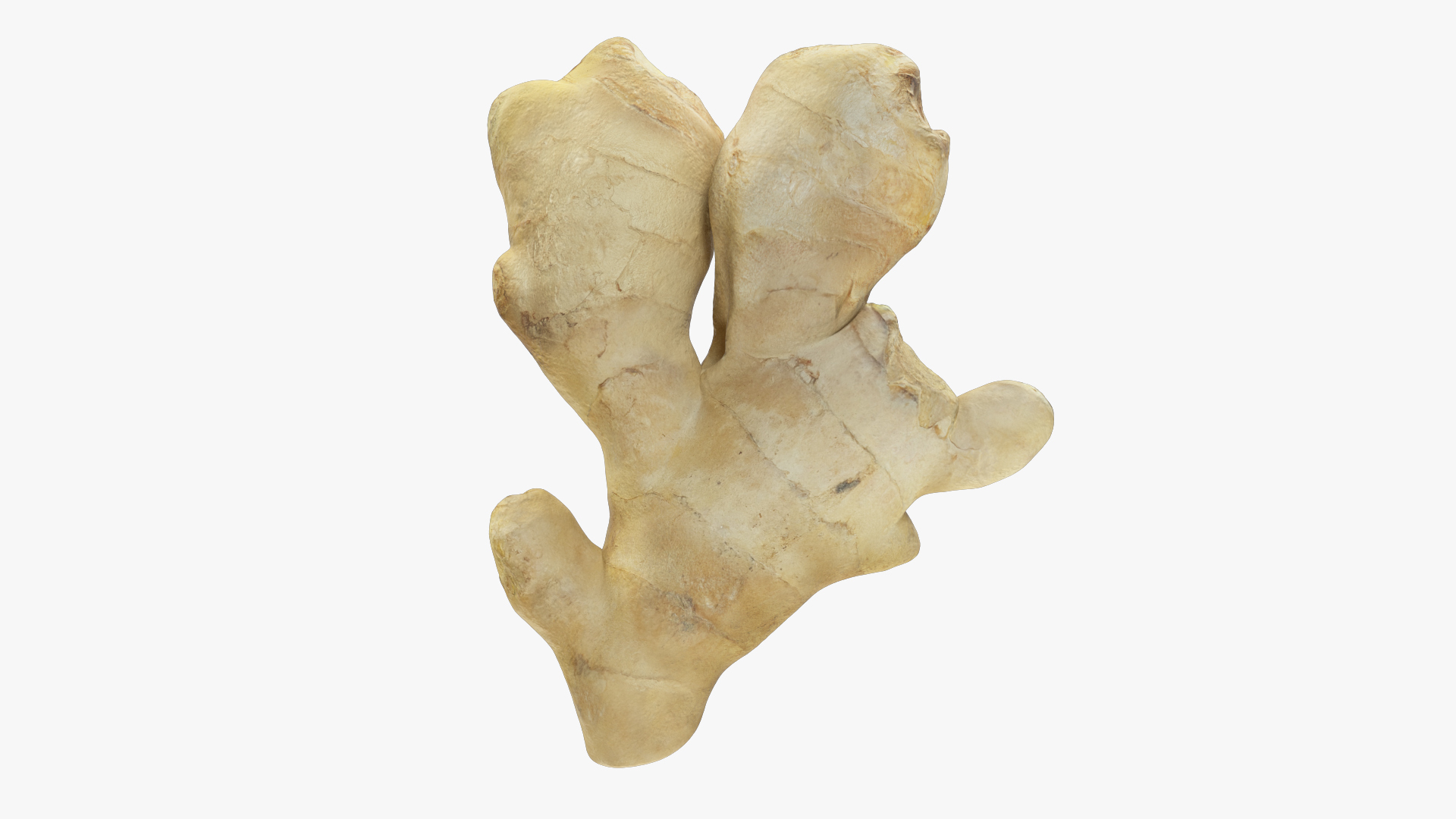 Ginger Collection V3 model https://p.turbosquid.com/ts-thumb/Ih/r24xYb/m3/g2render/jpg/1708028888/1920x1080/turn_fit_q99/ec9ddb8d63f0c02e4dee691833290785a1d74bc0/g2render-1.jpg
