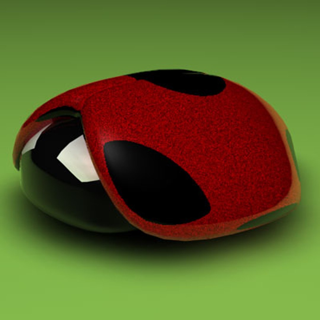 Ladybug Lady Bug C4d