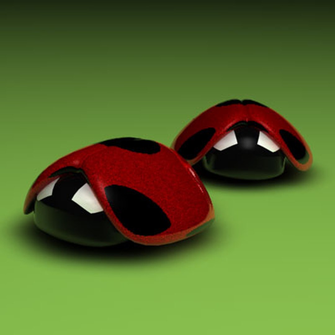 Ladybug Lady Bug C4d