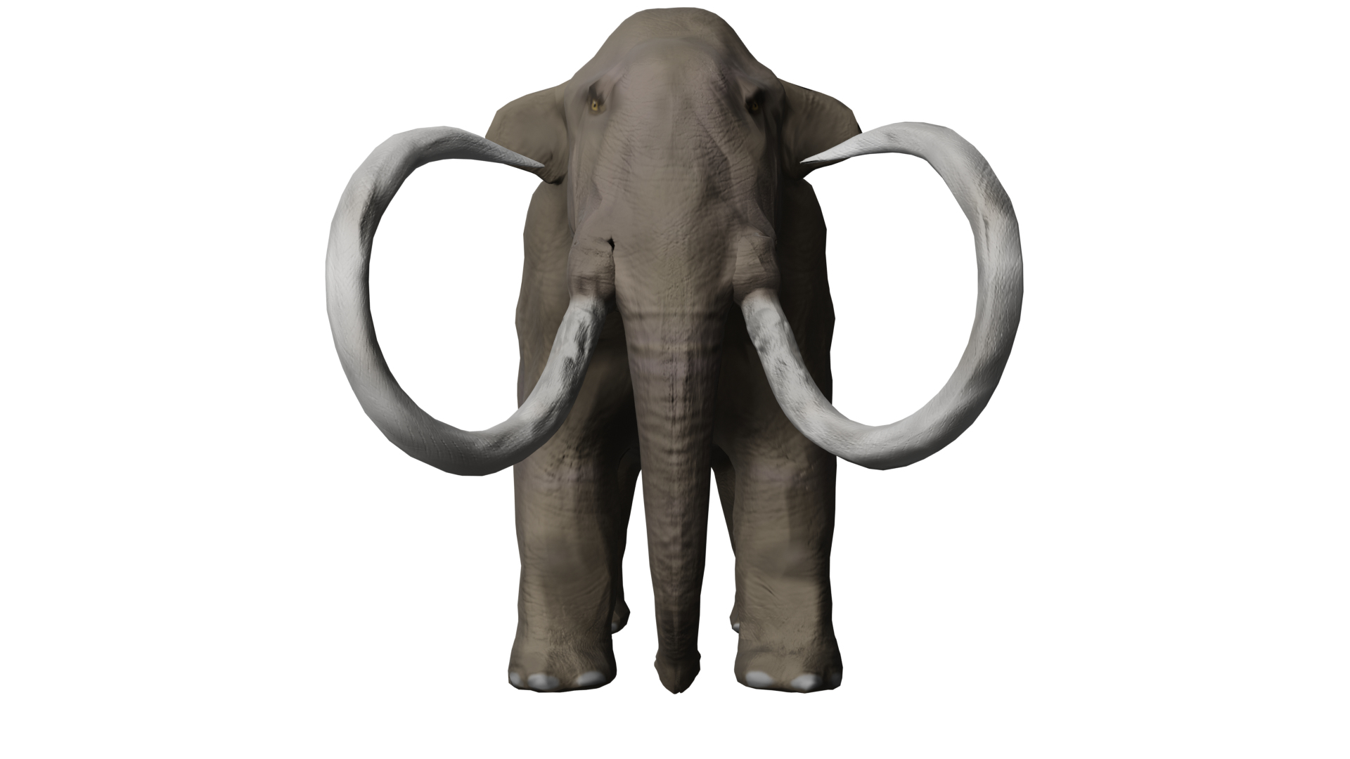 Columbian Mammoth 3D Model - TurboSquid 1801040