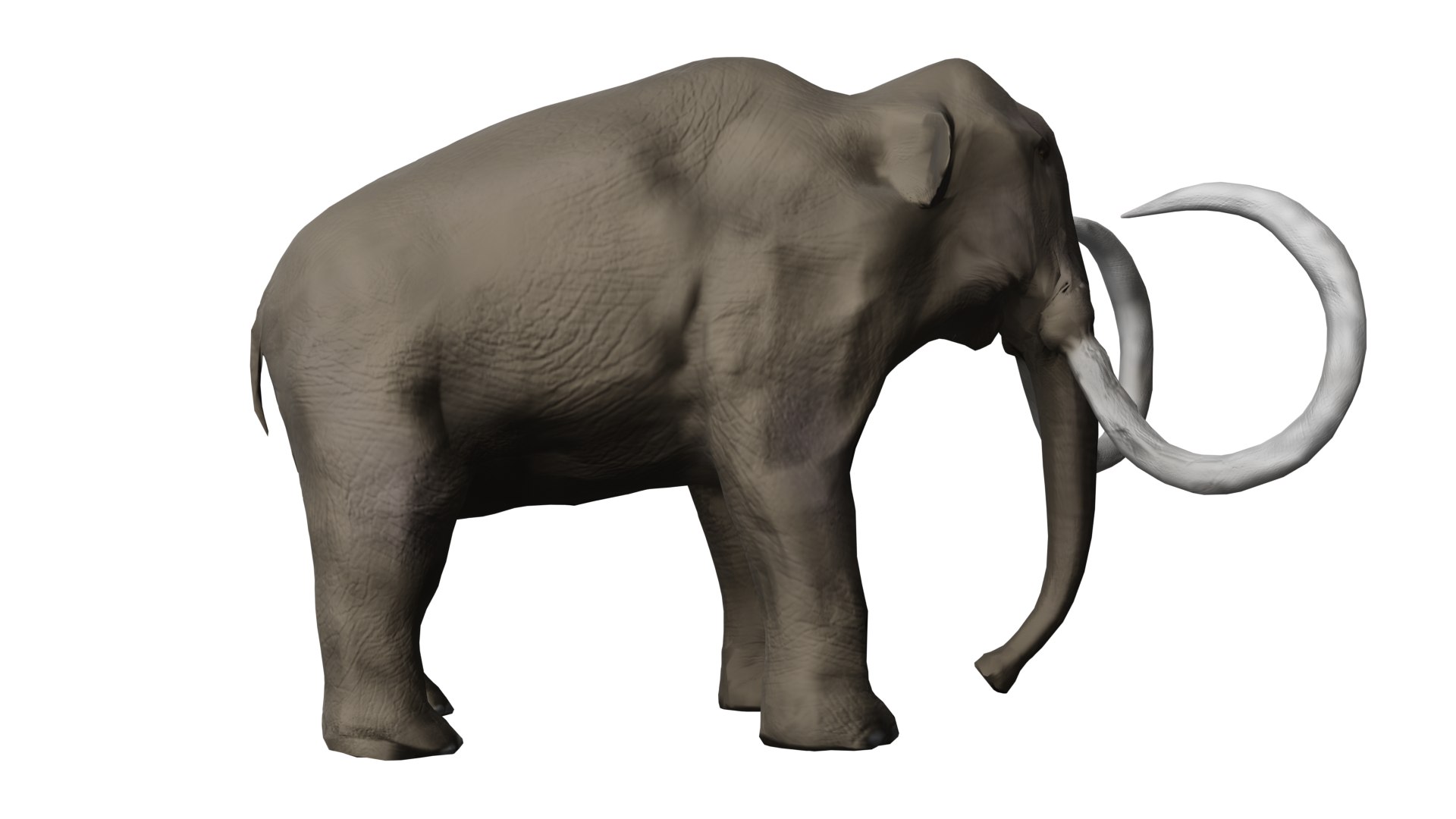 Columbian Mammoth 3D Model - TurboSquid 1801040