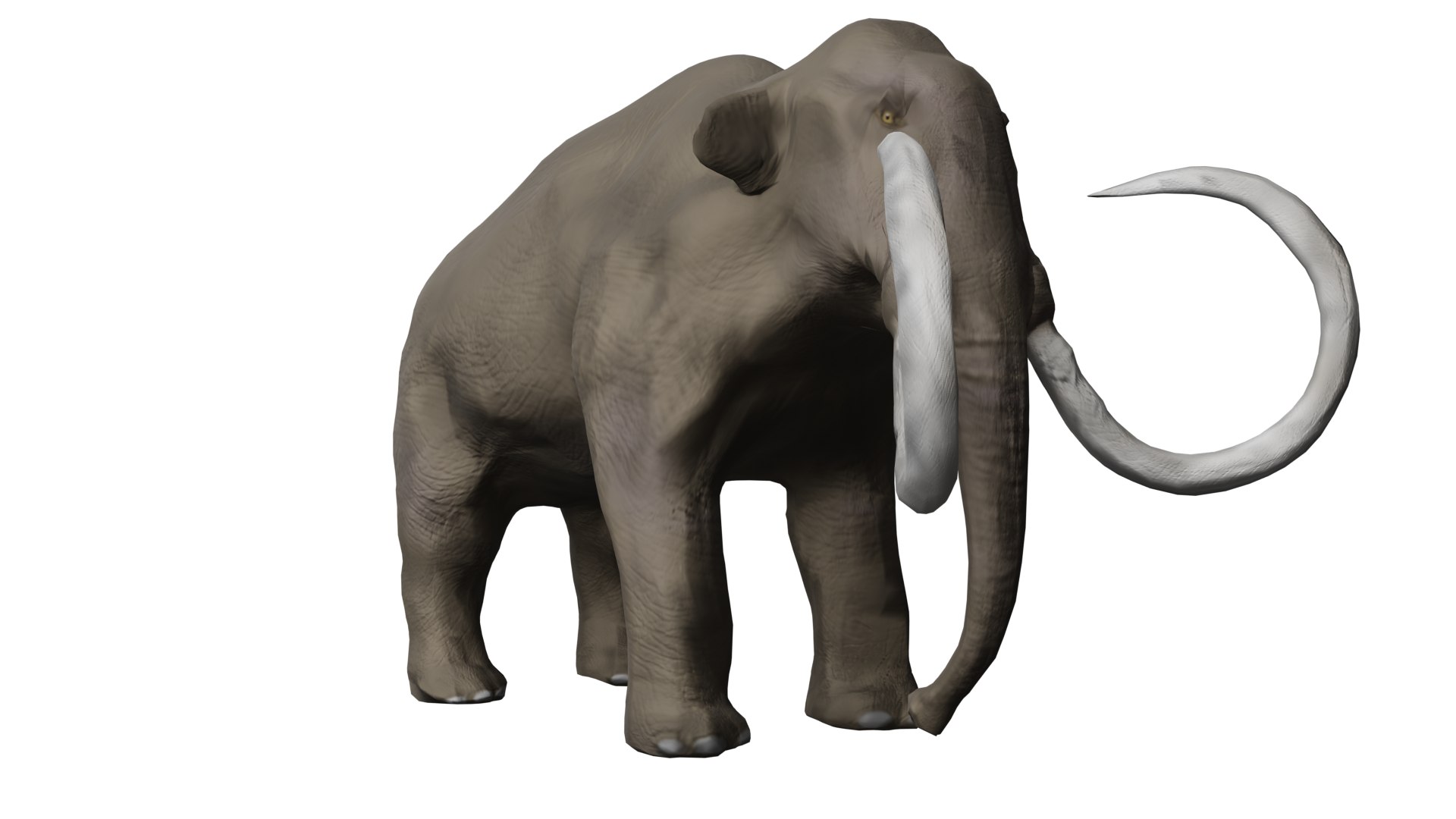 Columbian Mammoth 3D Model - TurboSquid 1801040