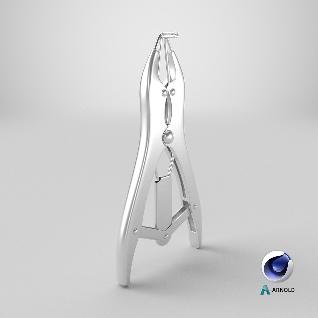 Puppy Tail Banding Elastrator steel model https://p.turbosquid.com/ts-thumb/Ii/4OdvFP/ES/stemcell_cinema_4d_arnold_render/png/1772806491/1920x1080/fit_q87/9e3855e3247560951eb1c9e0ce31704c3a0c1e93/stemcell_cinema_4d_arnold_render.jpg