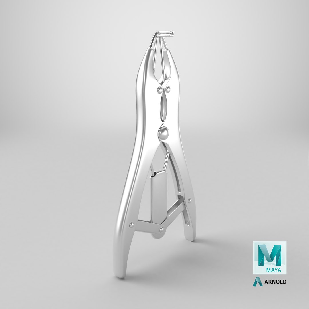 Puppy Tail Banding Elastrator steel model https://p.turbosquid.com/ts-thumb/Ii/4OdvFP/by/stemcell_maya_arnold_render/png/1772806487/1920x1080/fit_q87/45d78a763be1726e4c0980a878149a29005ed86f/stemcell_maya_arnold_render.jpg