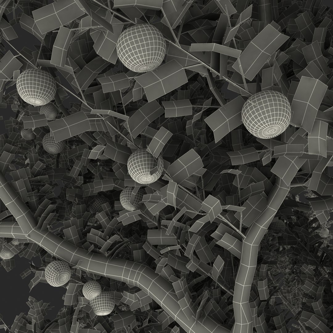 3d apple tree model https://p.turbosquid.com/ts-thumb/Ii/f6PXOQ/2EfH8KJY/appletree_178/jpg/1393284680/1920x1080/fit_q87/4d48370a5530bff1b6dbf27b9ac51aec0db60040/appletree_178.jpg