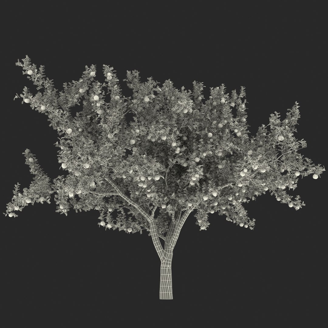 3d apple tree model https://p.turbosquid.com/ts-thumb/Ii/f6PXOQ/8SXiNlNp/appletree_168/jpg/1393284635/1920x1080/fit_q87/5c6b3aa65b15c8d3c649dcf212c6315b485d7f97/appletree_168.jpg