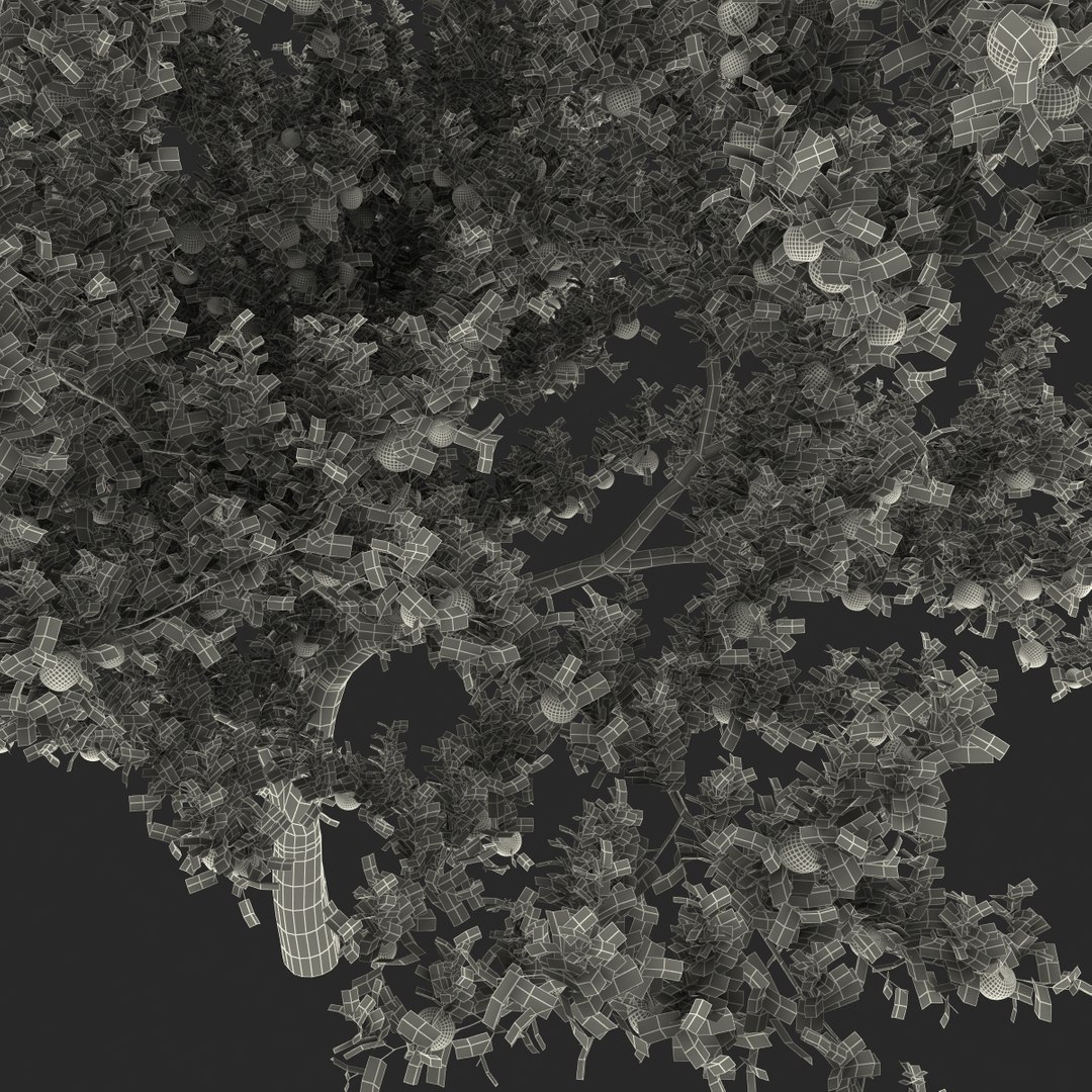 3d apple tree model https://p.turbosquid.com/ts-thumb/Ii/f6PXOQ/CcWLK6eg/appletree_181/jpg/1393284693/1920x1080/fit_q87/0dd23d339f1220859dbb1e2a089017a990843312/appletree_181.jpg