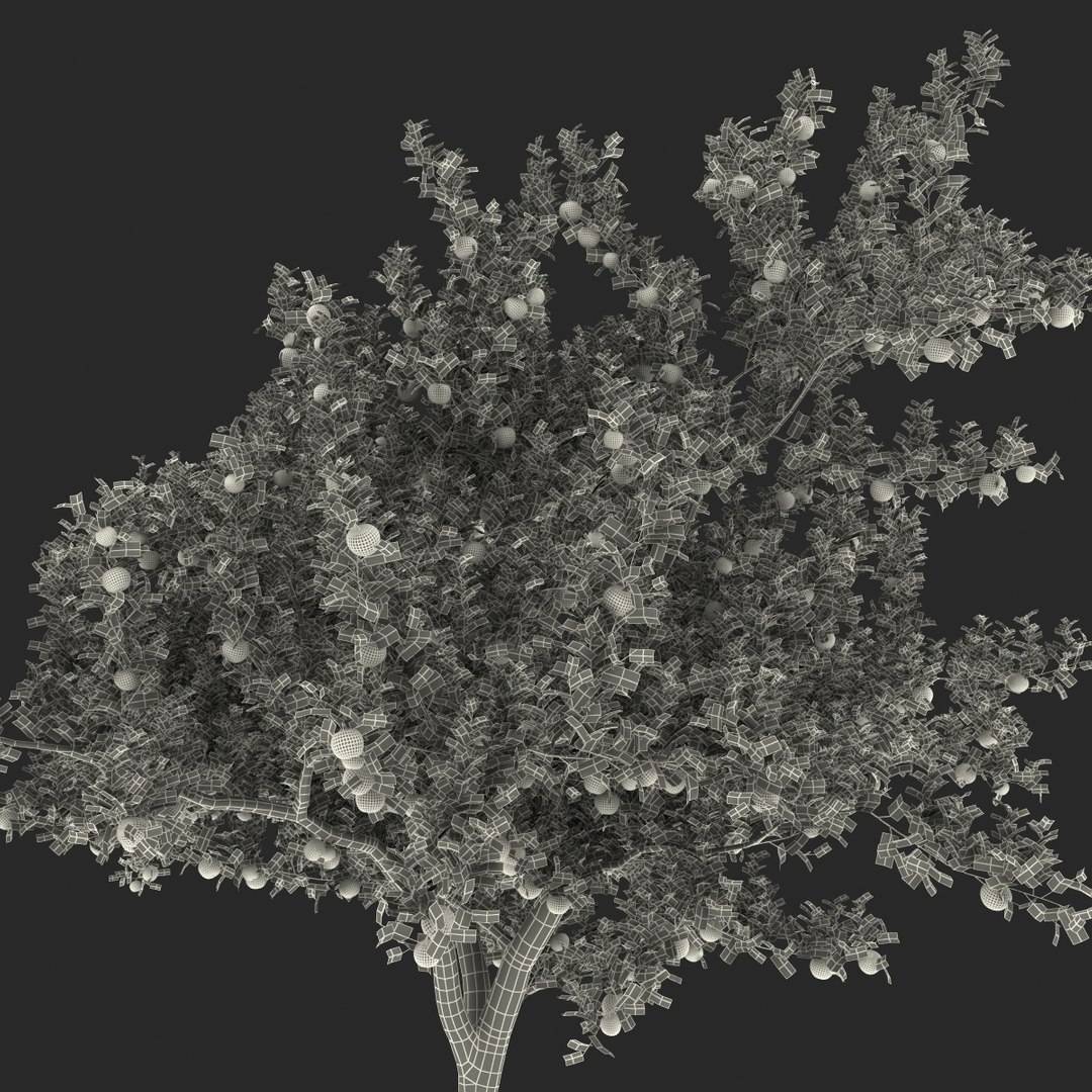 3d apple tree model https://p.turbosquid.com/ts-thumb/Ii/f6PXOQ/DICcEeGp/appletree_179/jpg/1393284682/1920x1080/fit_q87/626c9579ac49ce99f267d4b4b65821d2d413d9fd/appletree_179.jpg