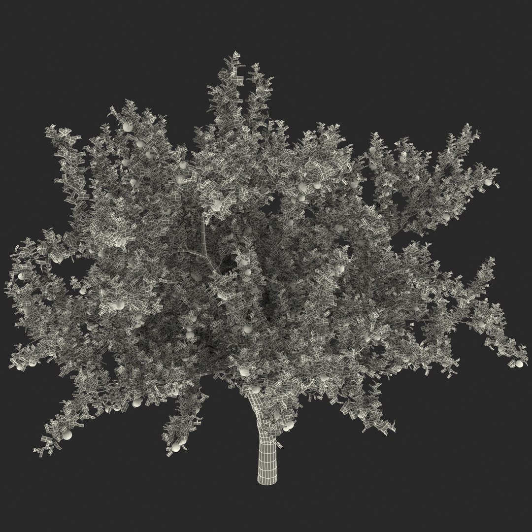 3d apple tree model https://p.turbosquid.com/ts-thumb/Ii/f6PXOQ/H1YMgK7m/appletree_170/jpg/1393284643/1920x1080/fit_q87/1c8c43ea4104a0e21c1f711f716d13603115d152/appletree_170.jpg
