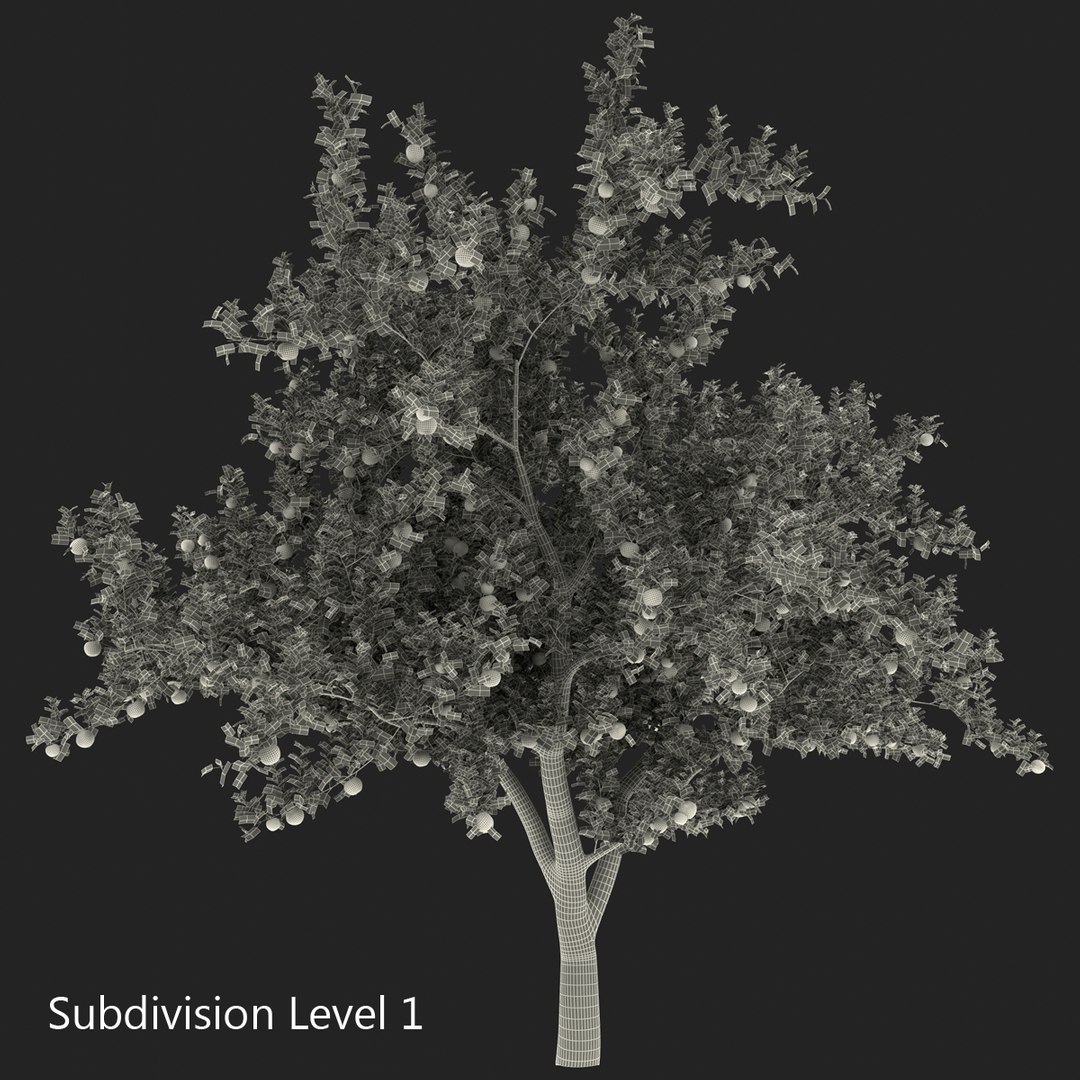 3d apple tree model https://p.turbosquid.com/ts-thumb/Ii/f6PXOQ/V3sgGoq4/appletree_6/jpg/1393284051/1920x1080/fit_q87/50dd38889992addf533d92ddedb871407080720d/appletree_6.jpg