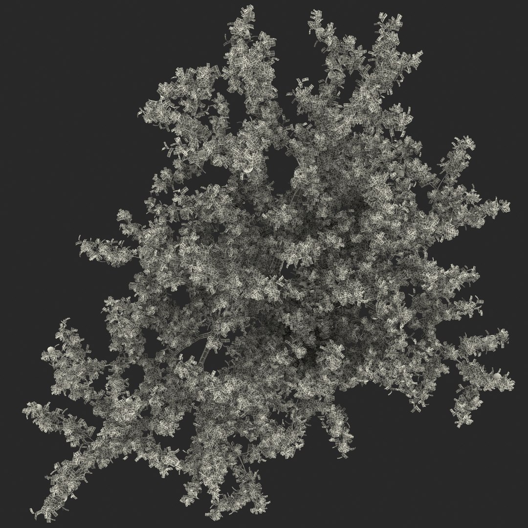 3d apple tree model https://p.turbosquid.com/ts-thumb/Ii/f6PXOQ/XnN1wp8F/appletree_172/jpg/1393284651/1920x1080/fit_q87/149710c0e0f4a4f093e434f4463a3e86688a5806/appletree_172.jpg