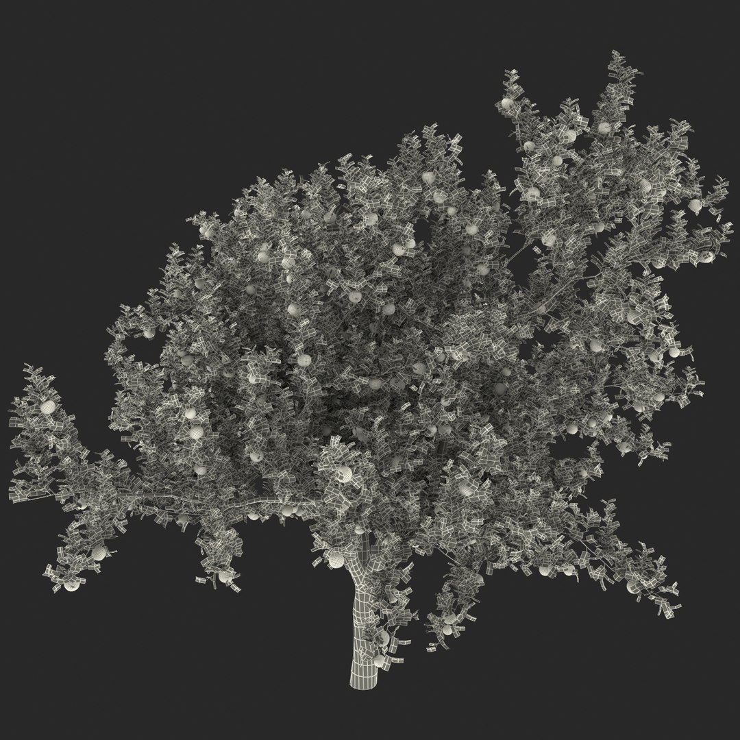 3d apple tree model https://p.turbosquid.com/ts-thumb/Ii/f6PXOQ/ZOCQi2Pu/appletree_173/jpg/1393284652/1920x1080/fit_q87/dfc1ad633de96d59e9516a1a40b1b124f7571acb/appletree_173.jpg