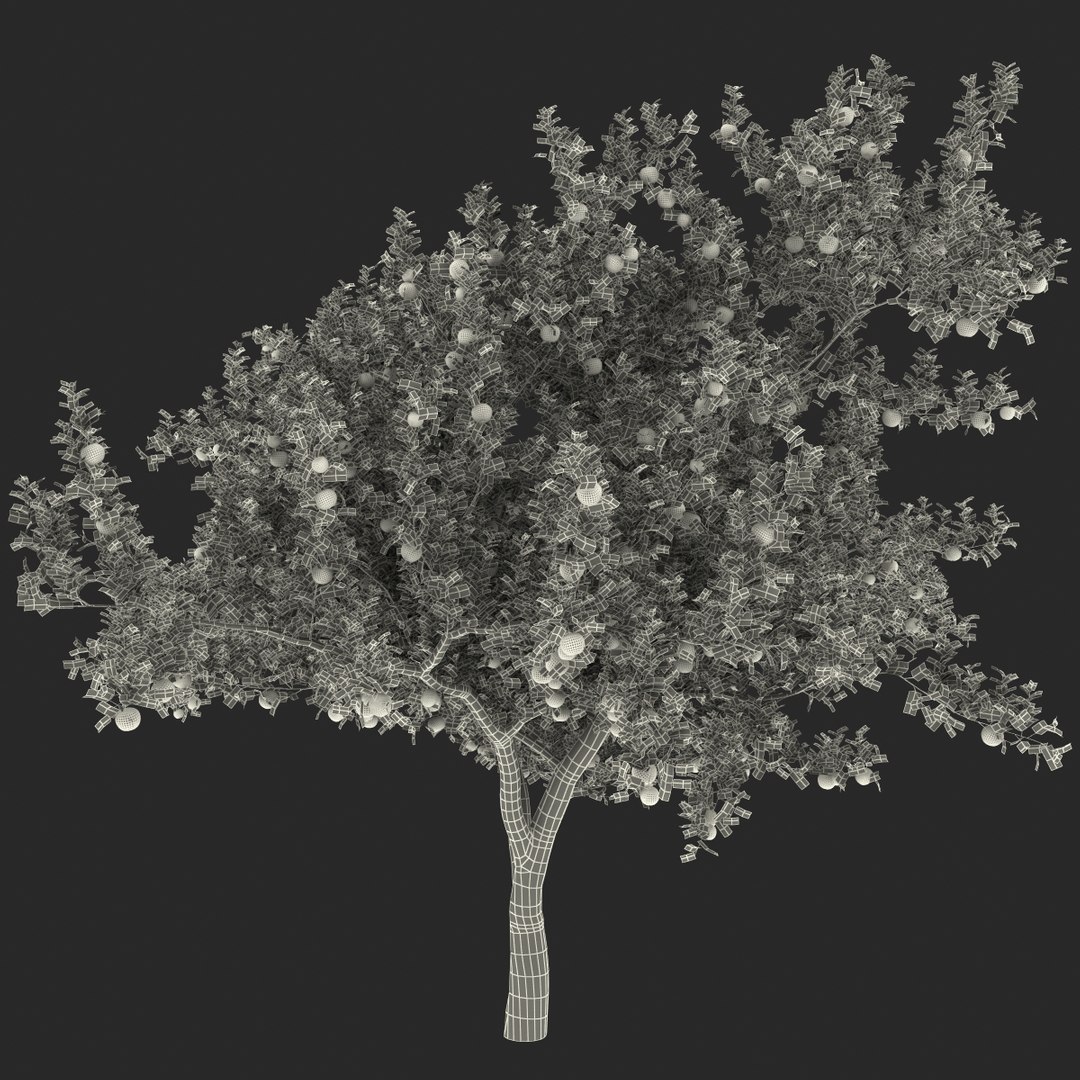 3d apple tree model https://p.turbosquid.com/ts-thumb/Ii/f6PXOQ/gpamhWmc/appletree_169/jpg/1393284635/1920x1080/fit_q87/651cee2b37a9f765f594b205e85599cb3c51b3d4/appletree_169.jpg