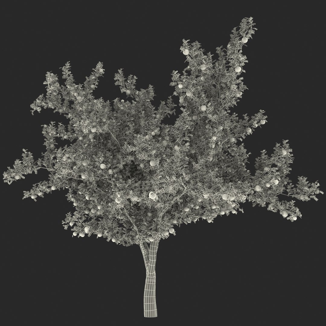 3d apple tree model https://p.turbosquid.com/ts-thumb/Ii/f6PXOQ/iNmXrjnY/appletree_171/jpg/1393284644/1920x1080/fit_q87/37185577c4f5a46636fffc7e19b8967333ab8263/appletree_171.jpg