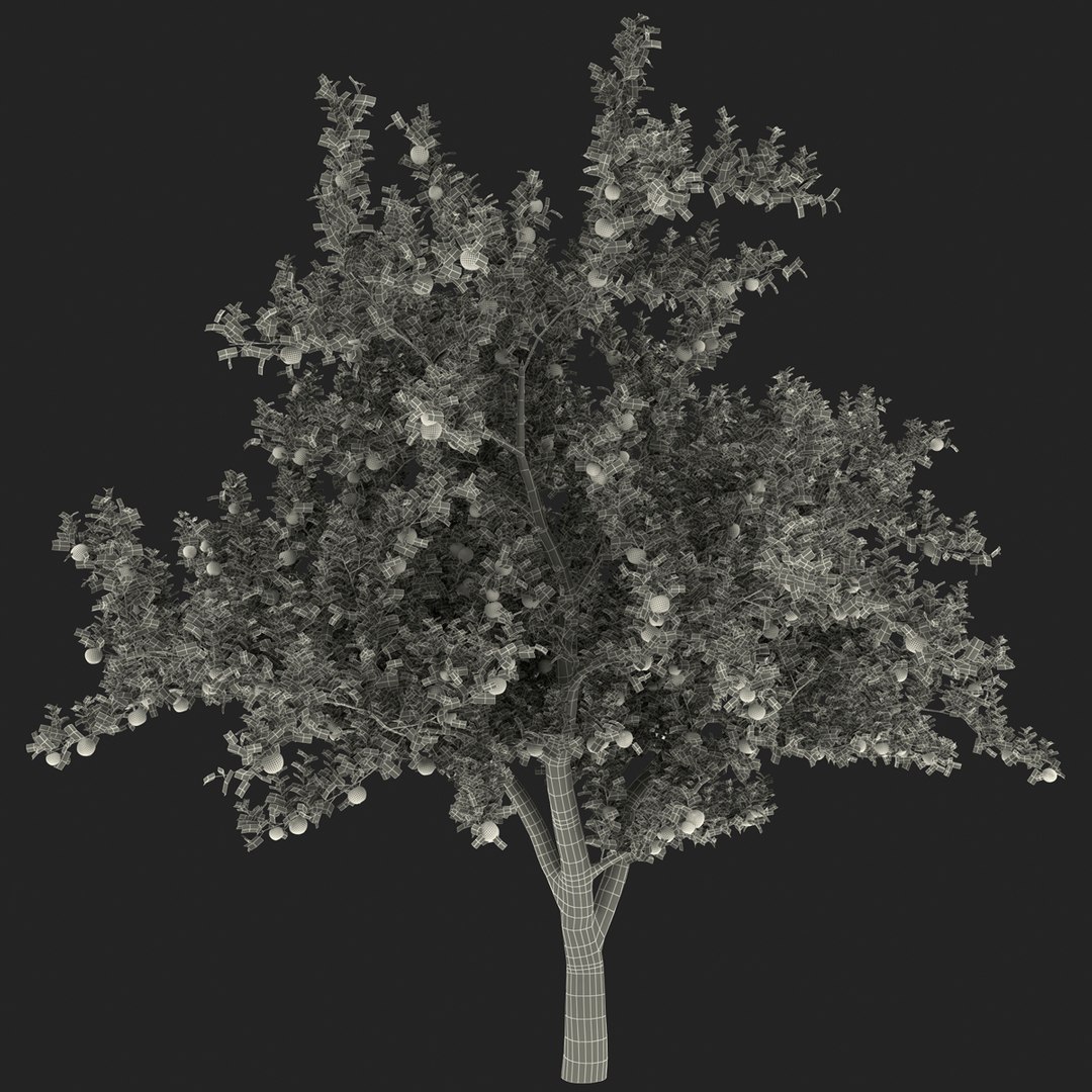 3d apple tree model https://p.turbosquid.com/ts-thumb/Ii/f6PXOQ/jbqvHAMp/appletree_167/jpg/1393284628/1920x1080/fit_q87/580457049c601ad9cc6a0e10f7cb19170736aeab/appletree_167.jpg