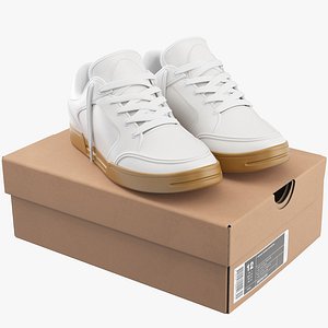 Shoe Box With Sneakers