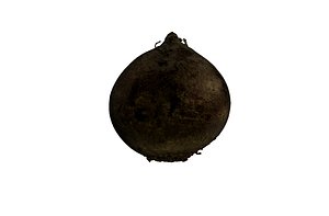 beetroot beet obj
