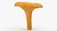 Young Yellow Chanterelle 3D Model