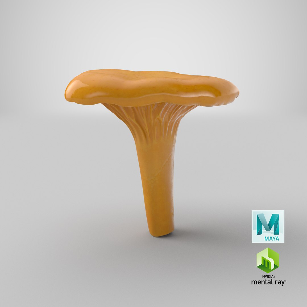 3D model young yellow chanterelle https://p.turbosquid.com/ts-thumb/Ii/tbRn7g/5o/stemcell_maya_mental_ray_render/png/1649234576/1920x1080/fit_q87/e07647d068b78b95f02198f23883172fdf8a2419/stemcell_maya_mental_ray_render.jpg