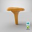 Young Yellow Chanterelle 3D Model