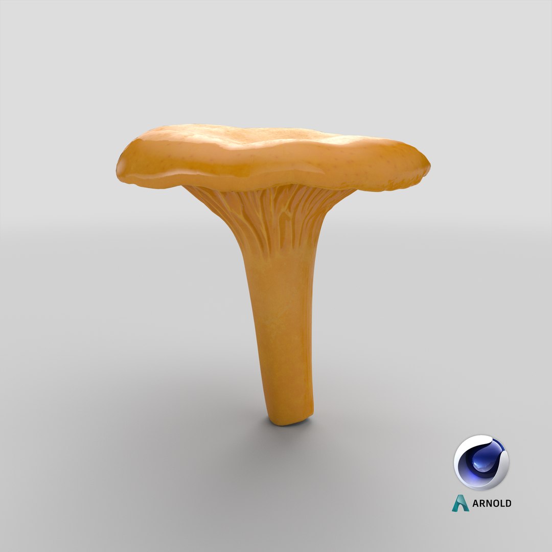 3D model young yellow chanterelle https://p.turbosquid.com/ts-thumb/Ii/tbRn7g/7q/stemcell_cinema_4d_arnold_render/png/1649234564/1920x1080/fit_q87/85804ac45f89ab7a4e16ba0e5a5ab0a21c69389d/stemcell_cinema_4d_arnold_render.jpg