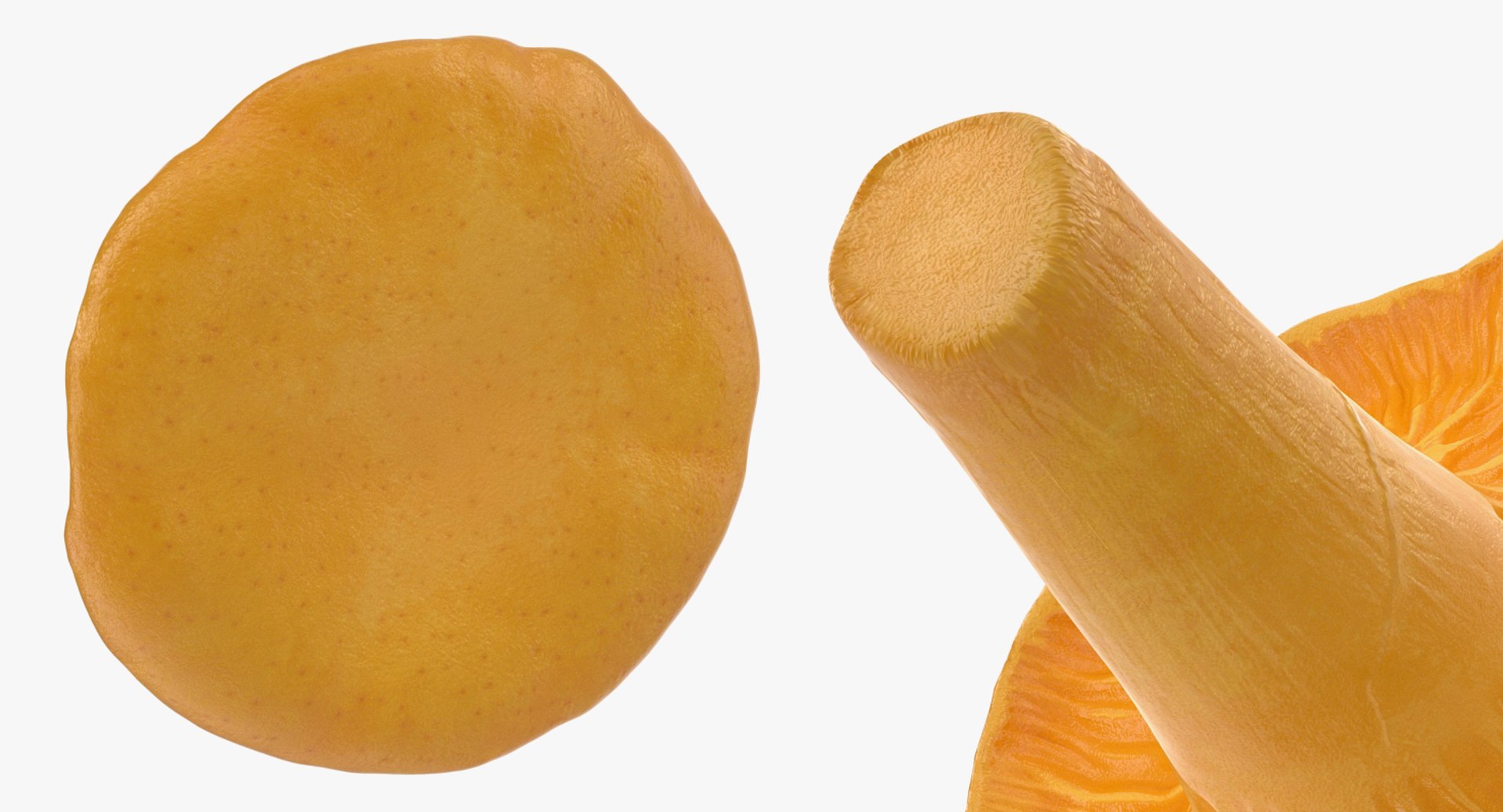 3D model young yellow chanterelle https://p.turbosquid.com/ts-thumb/Ii/tbRn7g/B2xBhcXo/youngyellowchanterellemb3dmodel007/jpg/1525553631/1920x1080/fit_q87/77cdca2e69951a0c1d47a4ea637007808f193f56/youngyellowchanterellemb3dmodel007.jpg