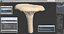 Young Yellow Chanterelle 3D Model