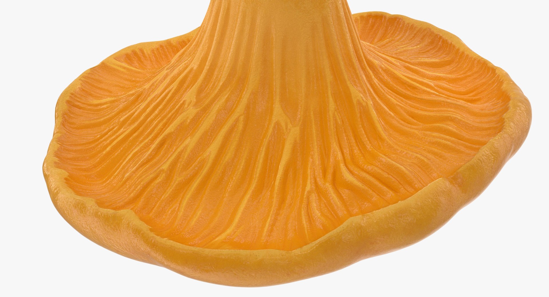 3D model young yellow chanterelle https://p.turbosquid.com/ts-thumb/Ii/tbRn7g/DtOeGqDa/youngyellowchanterellemb3dmodel006/jpg/1525553628/1920x1080/fit_q87/790fecbd526ebe9c06ee0d6fbfd320f76086612b/youngyellowchanterellemb3dmodel006.jpg