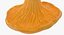 Young Yellow Chanterelle 3D Model