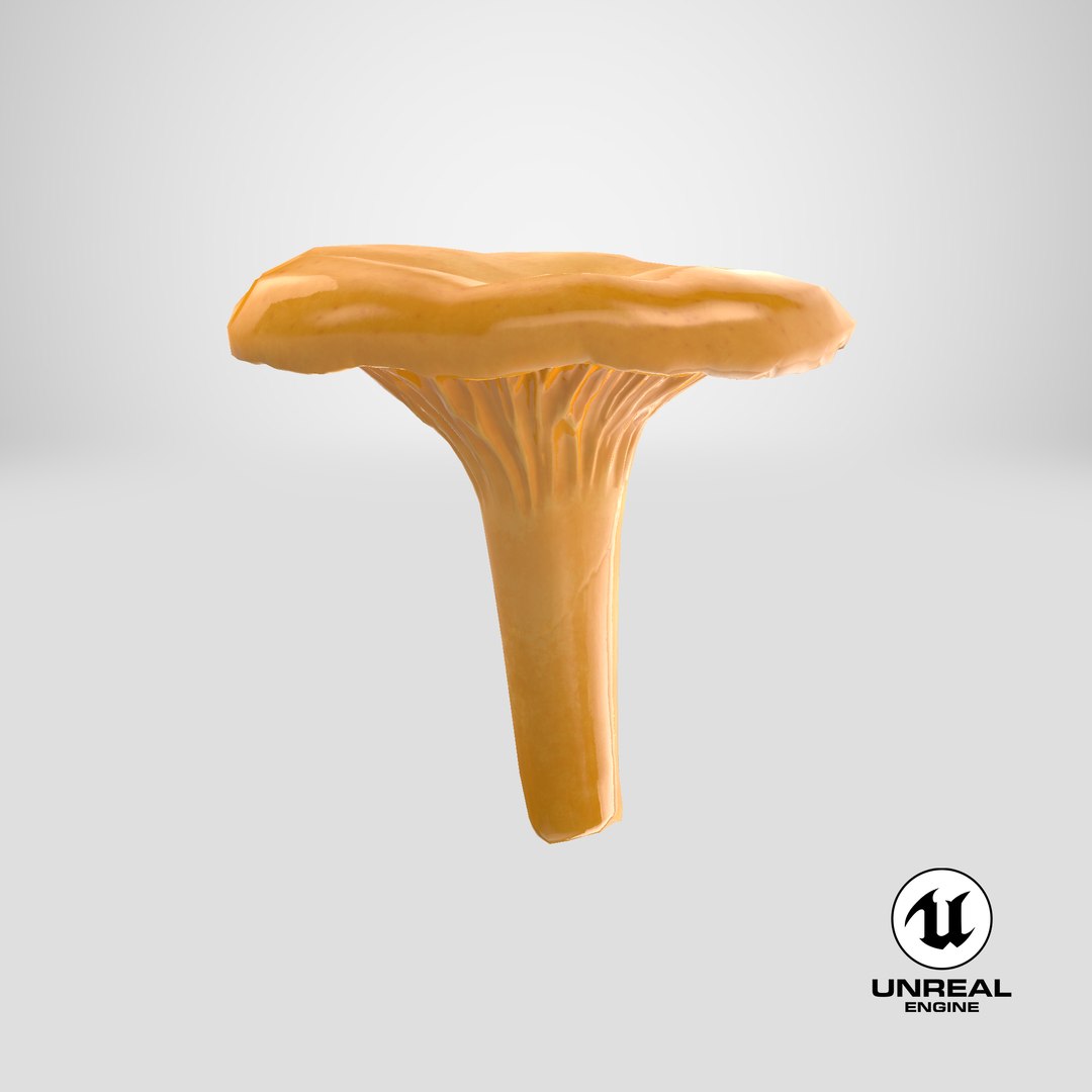 3D model young yellow chanterelle https://p.turbosquid.com/ts-thumb/Ii/tbRn7g/Uv/stemcell_unreal_render/png/1649234567/1920x1080/fit_q87/7b8b5cc2a73ddedd8dd64edd48ec566cce2f42a1/stemcell_unreal_render.jpg
