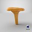 Young Yellow Chanterelle 3D Model