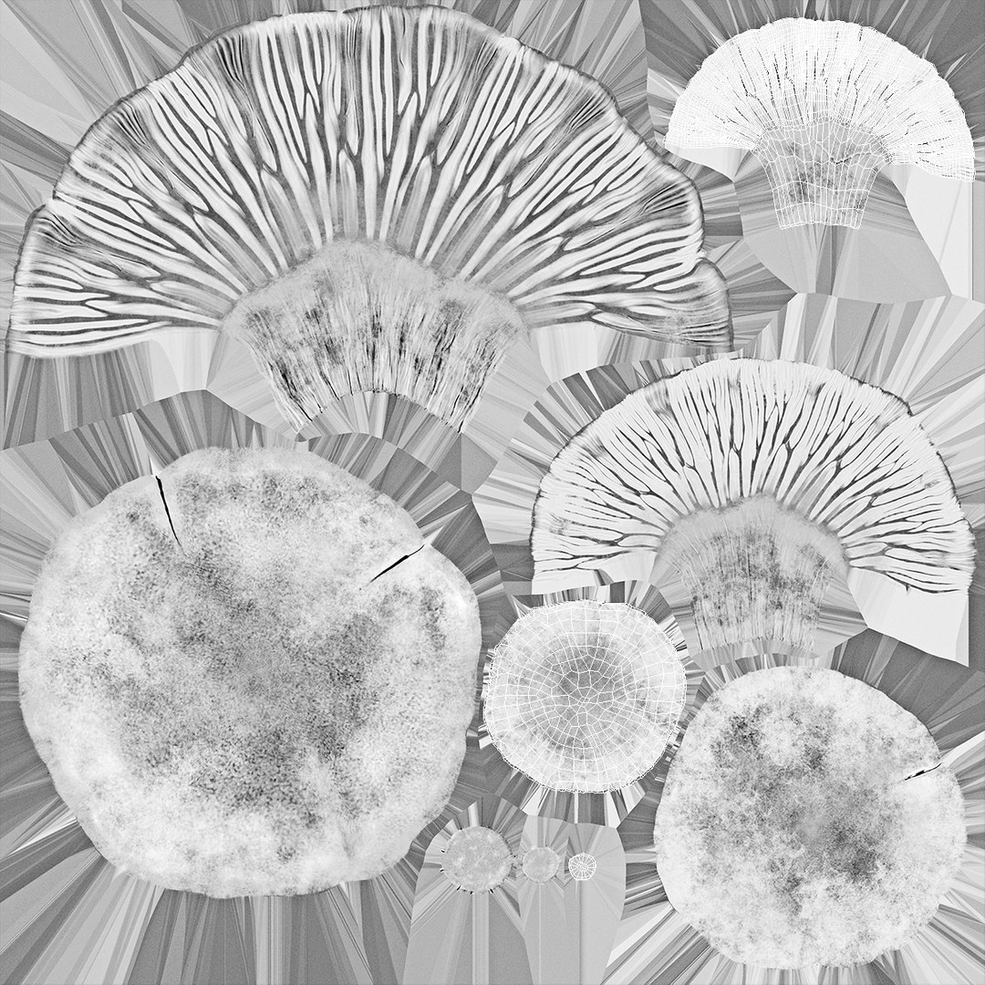 3D model young yellow chanterelle https://p.turbosquid.com/ts-thumb/Ii/tbRn7g/gY5lNV44/youngyellowchanterellemb3dmodel010/png/1525553640/1920x1080/fit_q87/37044b4d547075a09d4153a950c3b1e134407041/youngyellowchanterellemb3dmodel010.jpg