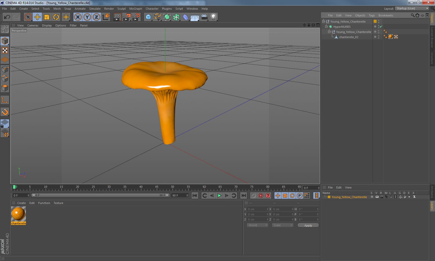 3D model young yellow chanterelle https://p.turbosquid.com/ts-thumb/Ii/tbRn7g/lgf7GeyD/youngyellowchanterellemb3dmodel013/jpg/1525553651/1920x1080/fit_q87/326d8ca8359ecfb7ff124ce7e382be60e6076cca/youngyellowchanterellemb3dmodel013.jpg