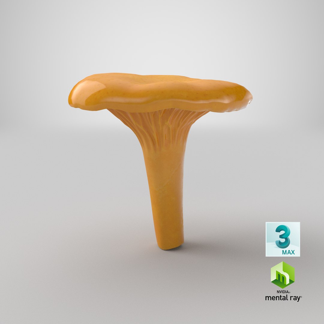 3D model young yellow chanterelle https://p.turbosquid.com/ts-thumb/Ii/tbRn7g/nK/stemcell_max_mental_ray_render/png/1649234570/1920x1080/fit_q87/77c08eafaa1d617fa9e372e12ba2e01593d3cebd/stemcell_max_mental_ray_render.jpg