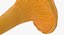 Young Yellow Chanterelle 3D Model