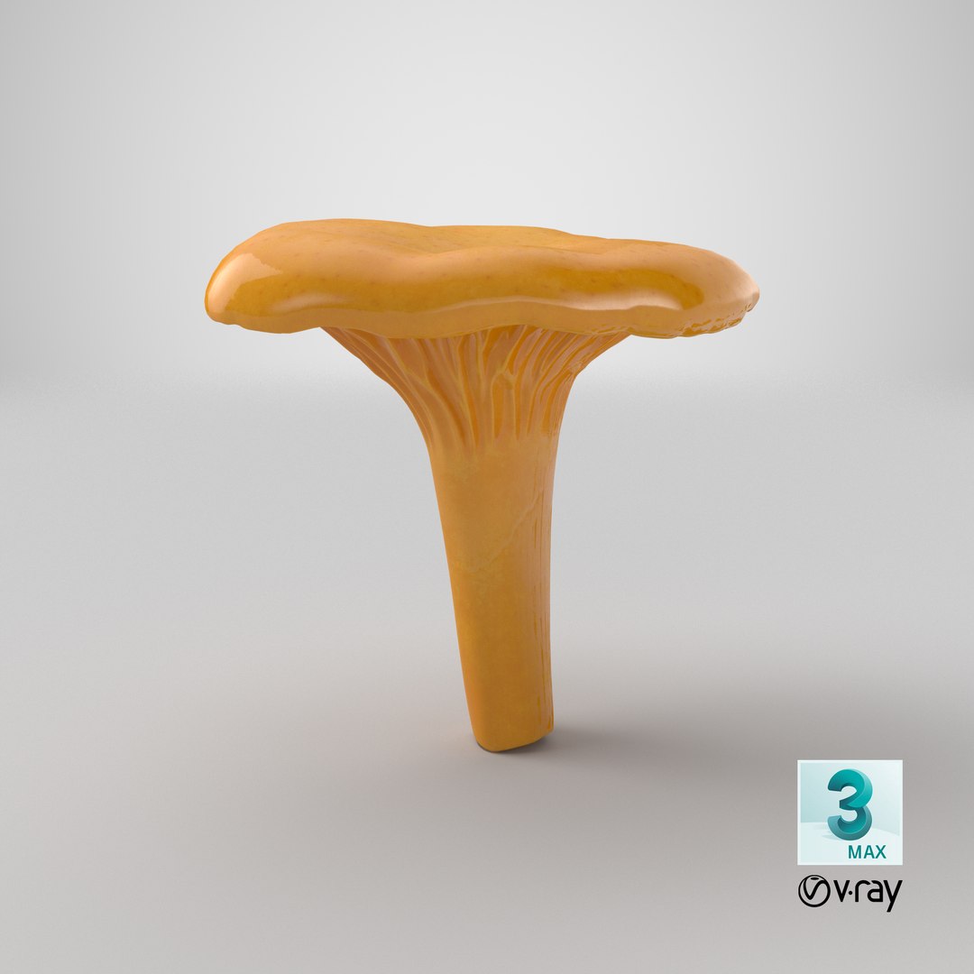 3D model young yellow chanterelle https://p.turbosquid.com/ts-thumb/Ii/tbRn7g/yI/stemcell_max_vray_render/png/1649234572/1920x1080/fit_q87/8be34f4e2282235884ec3b89bcdae07974afd860/stemcell_max_vray_render.jpg