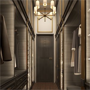 Dressing Room and Bathroom Interior