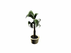free max mode pot palm