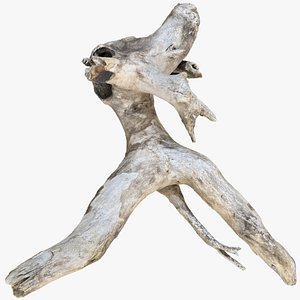 Human-shaped Tree Trunk Branch Wood 3D Scan in highpoly