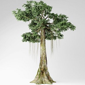 3D kapok tree