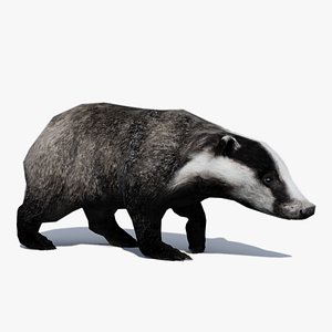 3D badger