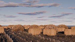 Hay Field
