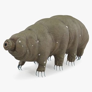 Tardigrade Rigged for Cinema 4D